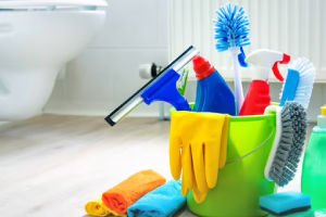 Messie Reinigung Delmenhorst